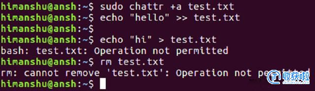 详解Linux chattr 命令，超越权限任性修改详解Linux chattr 命令，超越权限任性修改